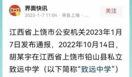 致远最新爆料消息,揭秘行业变革背后的秘密