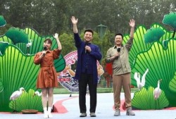 黄山游客爆料最新消息视频,惊现神秘奇观，视频揭秘黄山最新奇景