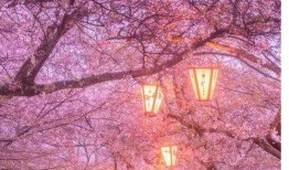 李玫爆料录音在线听视频,揭秘事件背后惊人真相