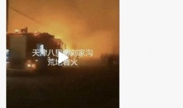 天津八台直播在线观看,天津八台精彩节目，一键观看不错过