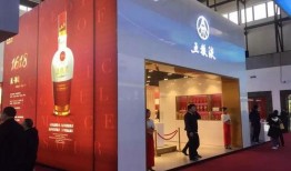 宜宾酒博会现场爆料视频,品鉴佳酿，共襄盛举