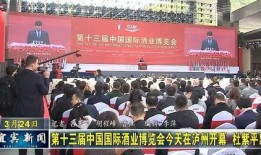 宜宾酒博会现场爆料视频,品鉴佳酿，共襄盛举