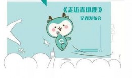 青小鹿爆料视频,精彩瞬间一网打尽