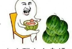 娱乐圈的员工吃瓜