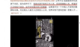 王一珩爆料视频,娱乐圈幕后真相大曝光