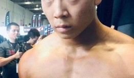 阿诺爆料李亚强视频全集,揭秘背后惊人内幕