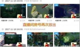 圈内人真实爆料视频大全,视频大全背后的惊人真相