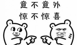 中宁曝光台爆料信息最新,揭秘背后惊人真相！