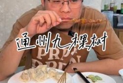 美食斌哥爆料视频,视频大放送，带你领略美食世界！