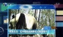 天津小佬爆料新闻视频,最新爆料新闻视频内容大起底