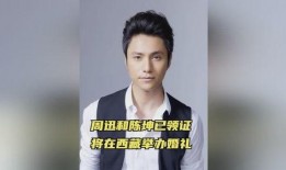 陈坤最近爆料新闻视频,揭秘娱乐圈不为人知的真相