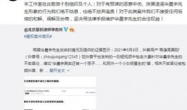 导演娱乐圈爆料的小说叫什么,揭开小说背后的秘密