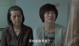 婚巢在线观看,揭秘现代婚姻生活的甜蜜与挑战