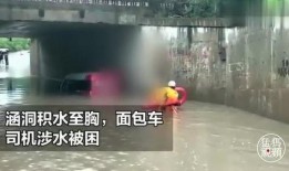 郑州爆料大雨视频播放下载,惊心动魄的瞬间记录