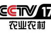 中央电视台11套在线直播观看,跟随中央电视台11套在线直播领略文化盛宴