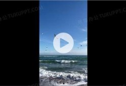 海鸥官方爆料视频下载,全新科技与设计亮点抢先看