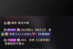 黑龙爆料沈雨萱视频播放,真相与争议并存