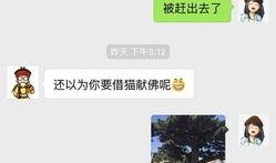 新闻哥被爆料欠钱不还,诚信危机引发热议